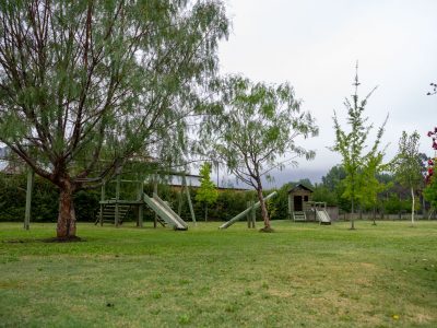 mate torpedo-3